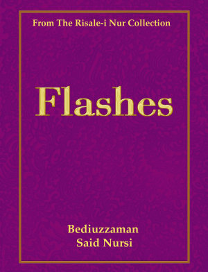The Flashes — İngilizce kapak